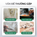 Xịt thơm phòng VTOP 400ml - Ảnh 4